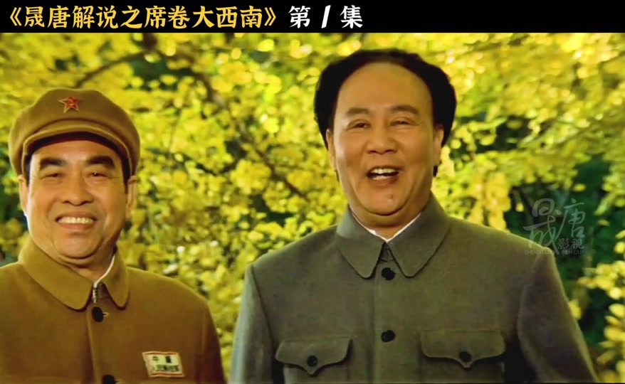 解放大西南演员表全部 - 抖音