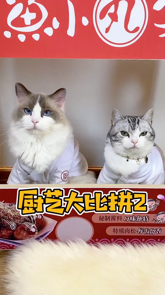 河卜卜和momo老花_河momo的卜卜酱_河卜卜的momo花泽类3岁 - 抖音