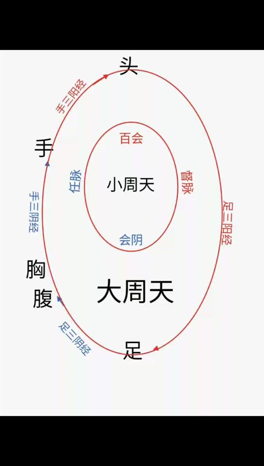 大周天运行路线图_气功大周天运行路线图_道家大周天运行路线图 - 抖