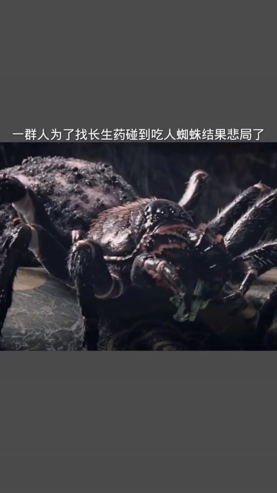 韩菱纱吃了长生药真能长生吗 - 抖音