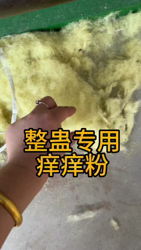 痒痒粉整蛊女人视频外国