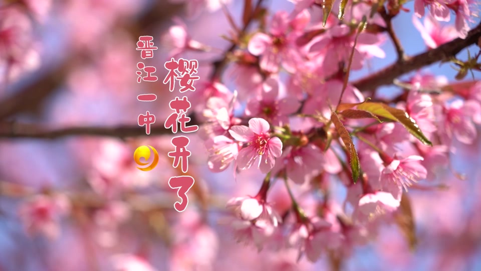 晋江一中校花周子喻