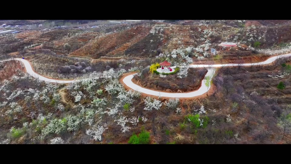 2024年滨海县大套梨花节什么时候 - 抖音