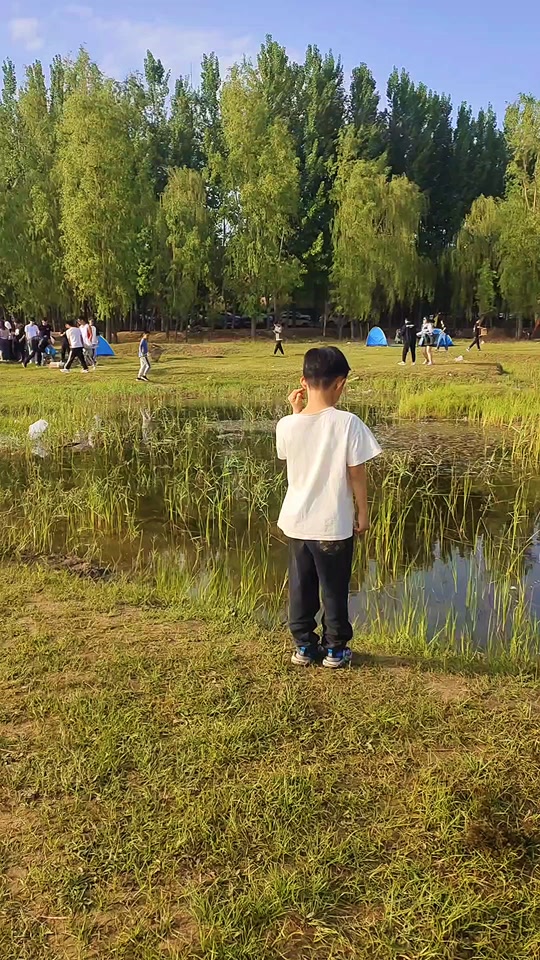 田家湾的女娃都去哪儿了 - 抖音