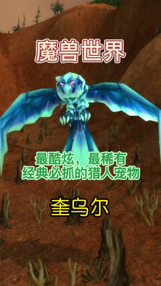 60怀旧服猎人稀有食腐鸟哪里抓
