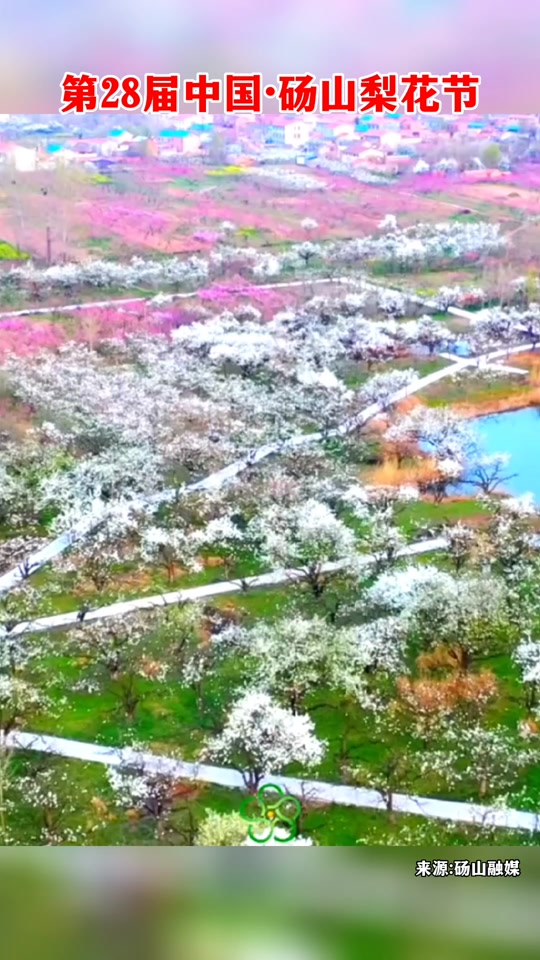 砀山梨花节是几月几号闭幕式 - 抖音