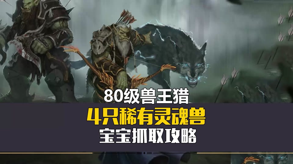 魔兽世界猎人怎么抓狮鹫宝宝 - 抖音