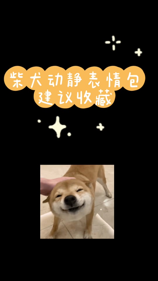 小黄狗表情包里是柴犬 - 抖音