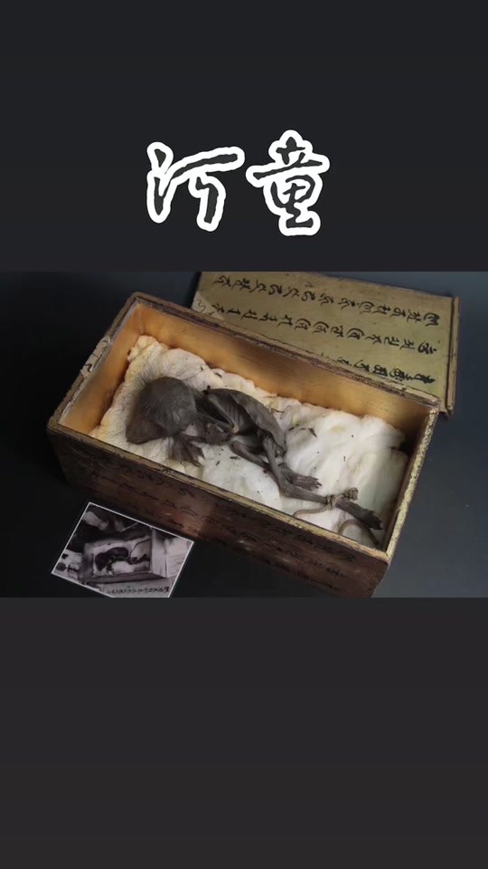 瑞龙寺河童标本