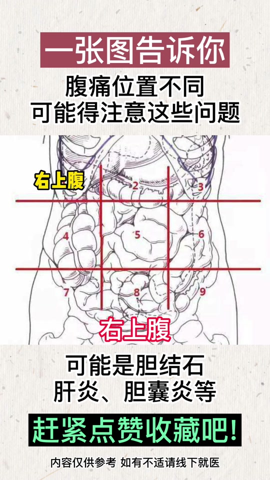 右上腹位置示意图