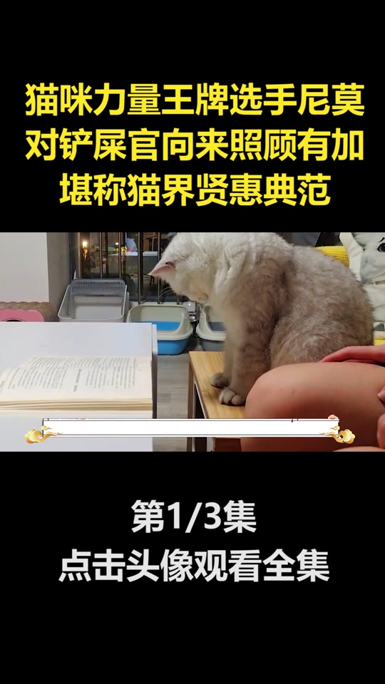 尼莫抖音=尼莫的视频