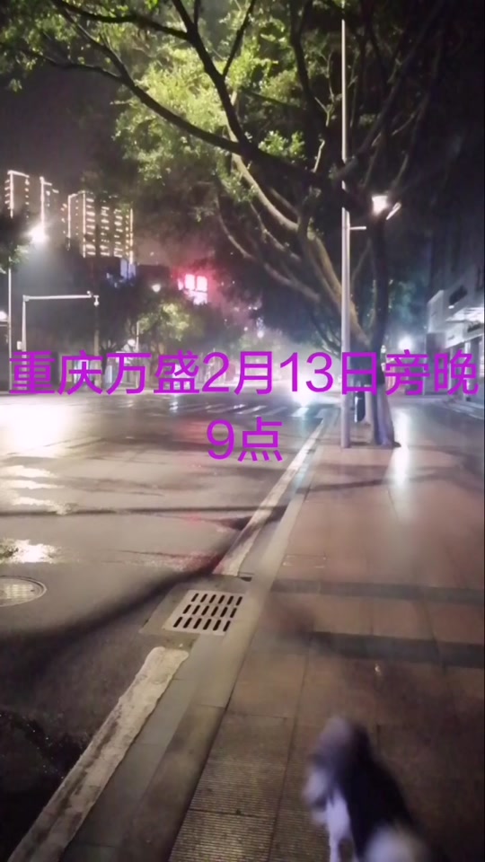 2024年流感重庆封城了吗 - 抖音