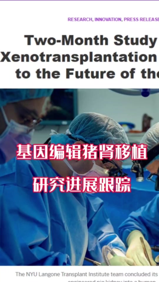 中国2024肾移植用猪肾了吗 - 抖音
