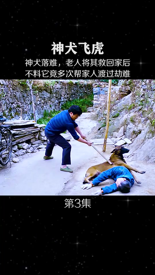 电影飞虎狗最后怎么了 - 抖音