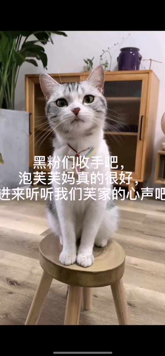 王泡芙家的大漂亮怎么了 - 抖音