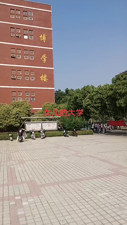 焦作工贸职业学院2024年扎堆了吗 - 抖音
