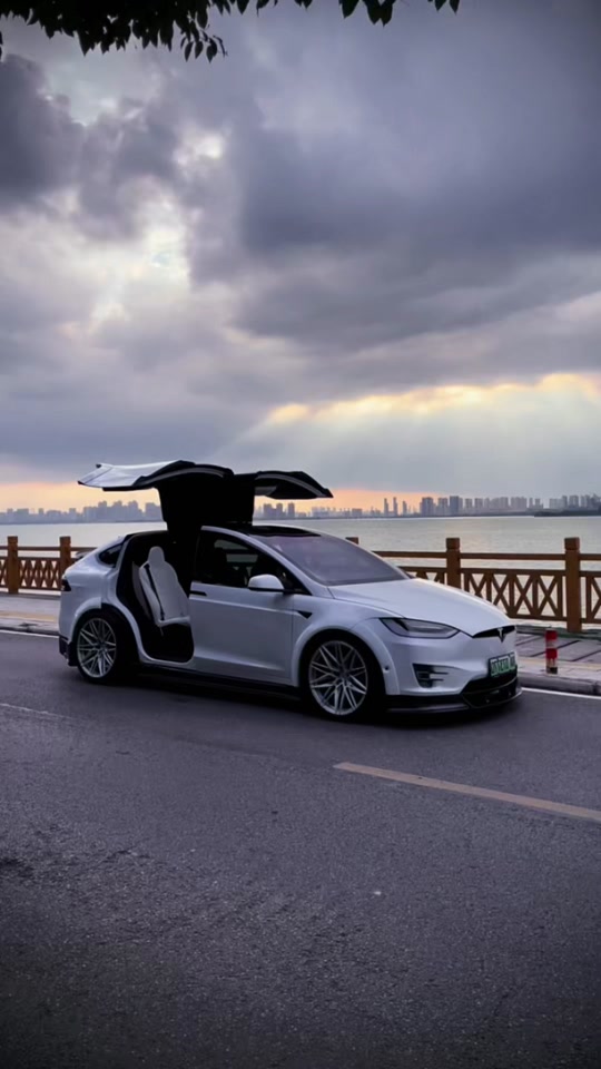 特斯拉鸥翼门是哪款车 - 抖音