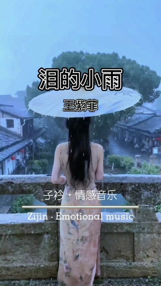 泪的小雨动态简谱王紫菲