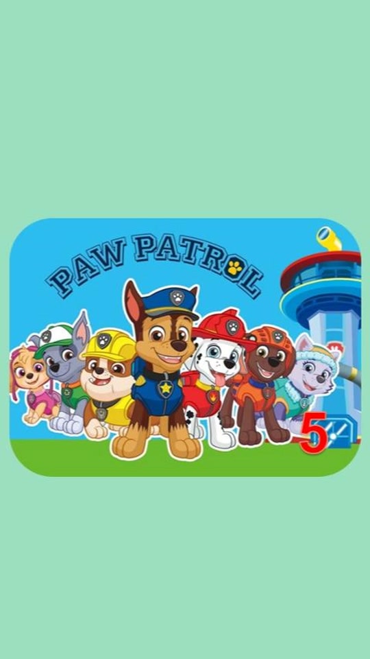 汪汪队赛车比赛 - 抖音