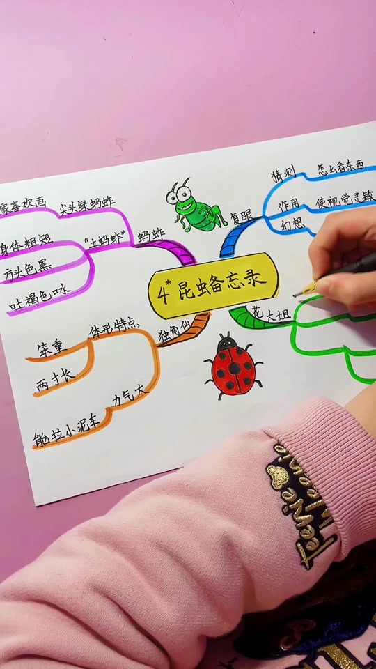 三年级下册科学蚕的一生思维导图 - 抖音
