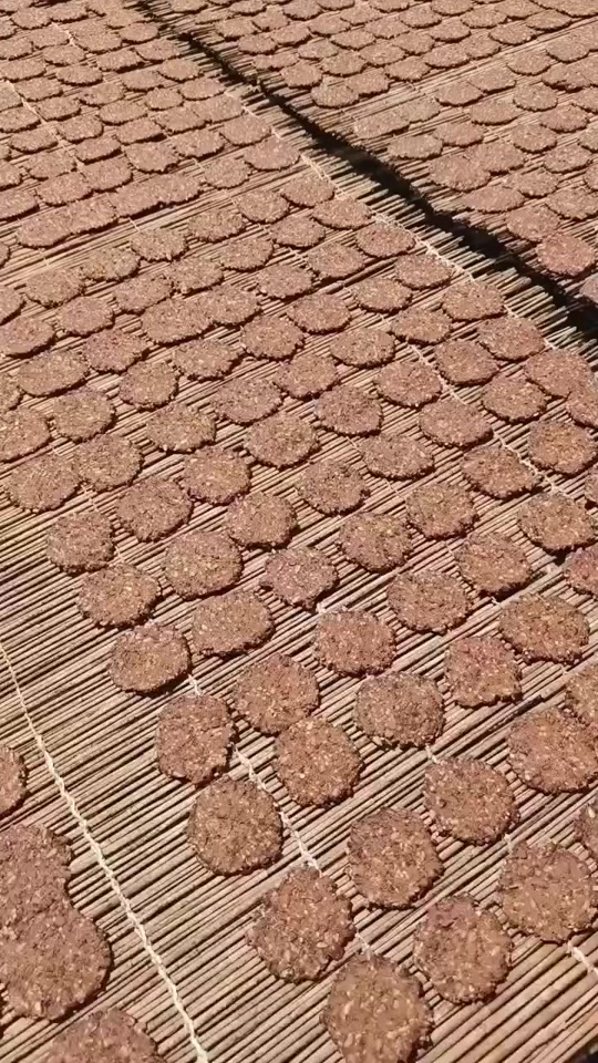 河南濮阳特产酱锅饼
