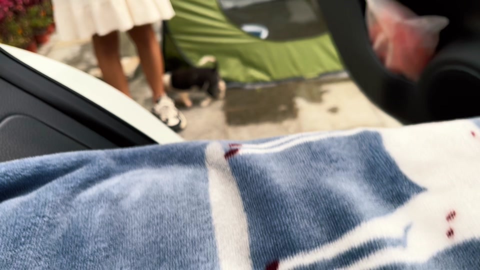 试着帮它找回它的主人,失败了#中外夫妻 #vlog旅行记 #vlog十亿流量