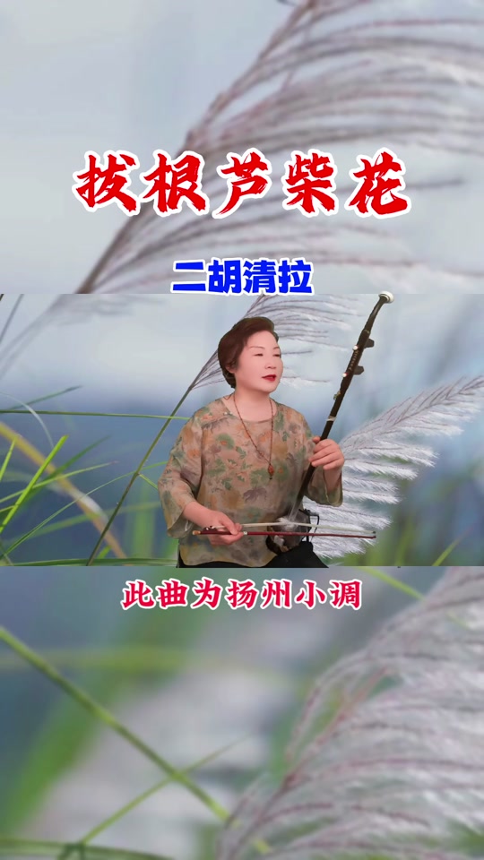 拔根芦柴花二胡