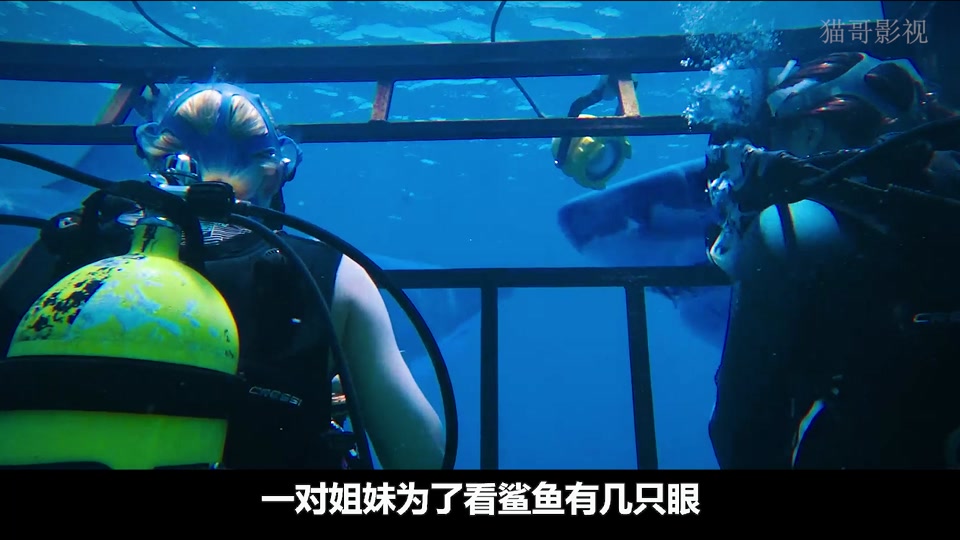 猫哥影视:女人为了看鲨鱼被困在深海里 #电影解说