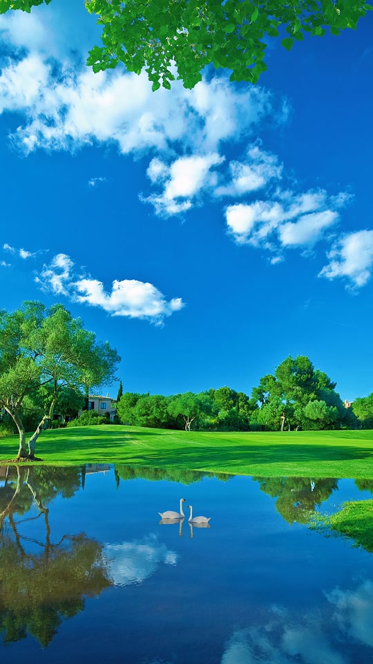 540_960竖版 竖屏