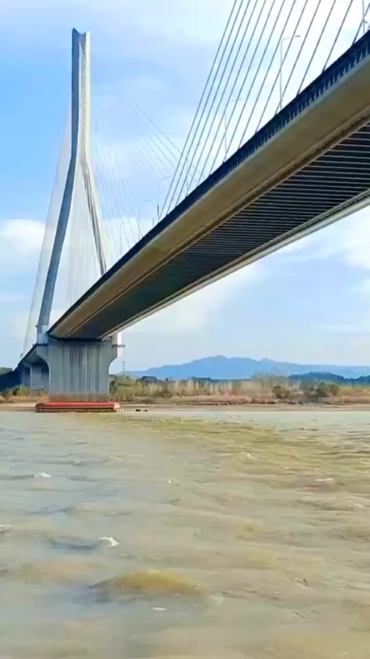 望江县公铁大桥什么时候开建 - 抖音