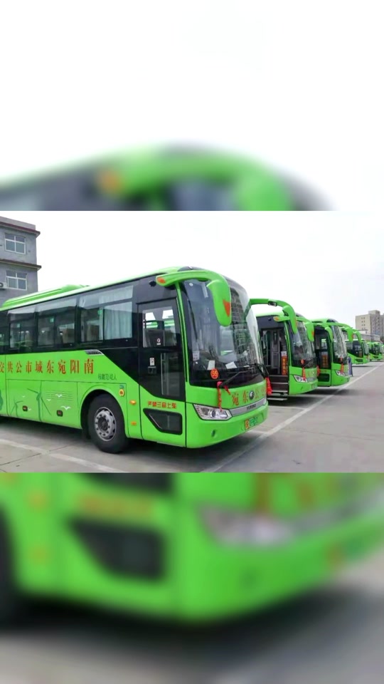 社旗到南阳公交车停运了么