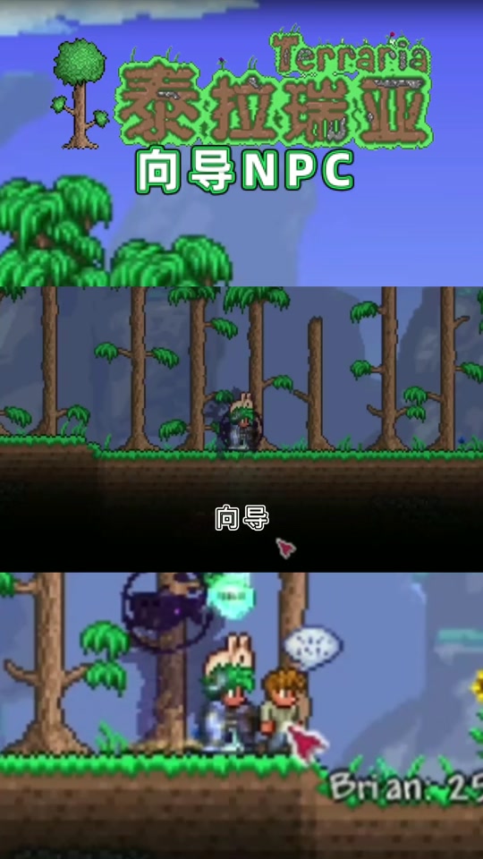 泰拉瑞亚怎么快速让向导重生 - 抖音