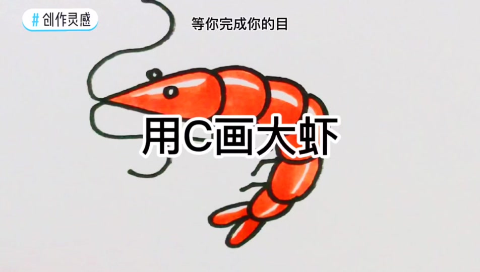 螳螂虾简笔画_海底小纵队螳螂虾简笔画_雀尾螳螂虾简笔画 - 抖音