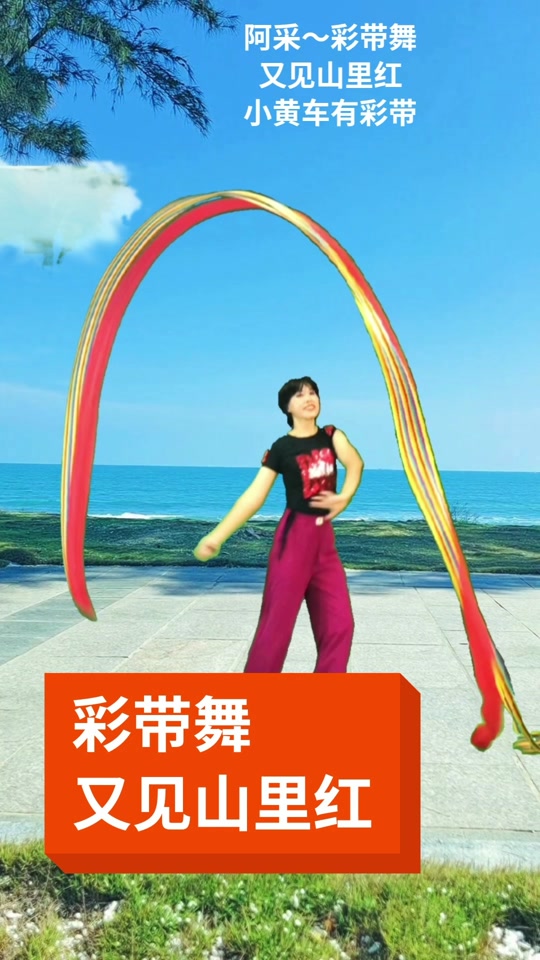 广场舞彩带健身操_广场舞彩带舞一等奖_广场舞彩带健身操分解动作