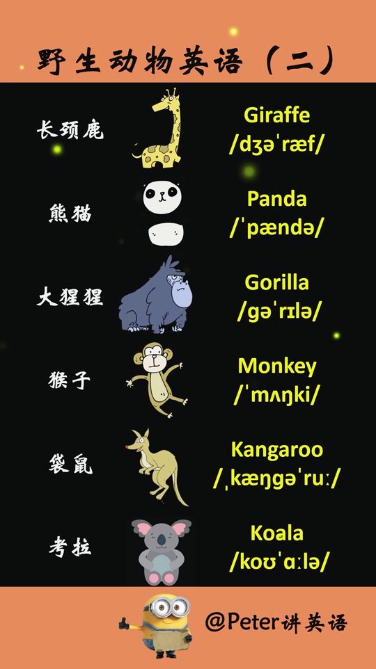 giraffe长颈鹿英文怎么读_长颈鹿英文怎么读音声音