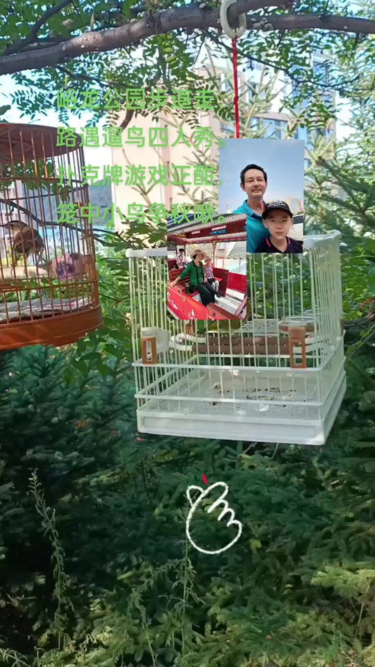 ktv里的遛鸟游戏_遛鸟游戏怎么玩