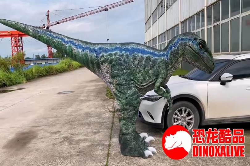 祖尔格拉布迅猛龙在哪 - 抖音