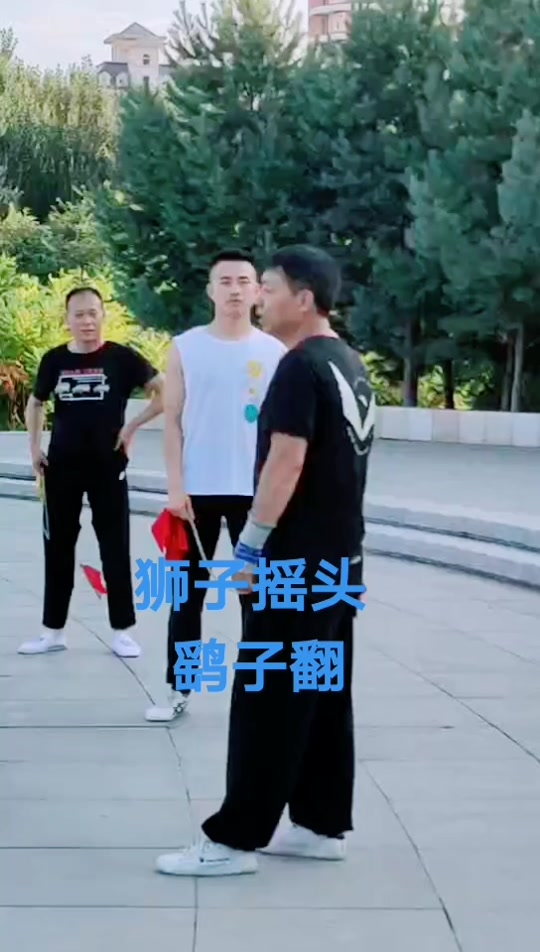 鹞子翻身武术动作 - 抖音