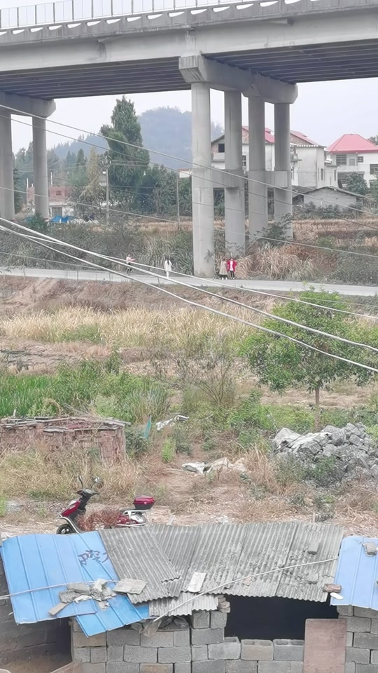 武冈大姐大现在怎样了