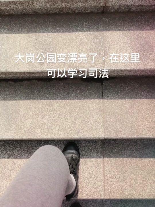 大岗抖音=大岗镇大岗村有什么规划