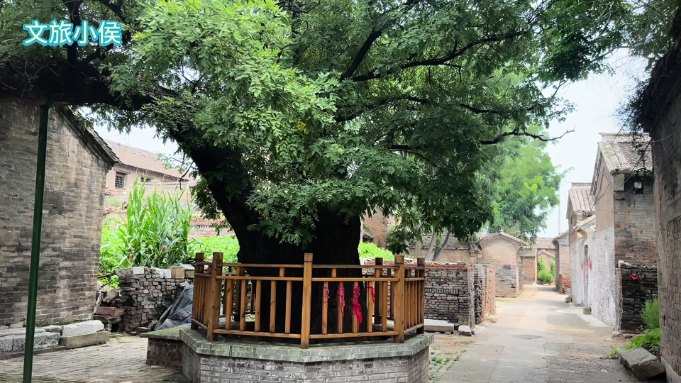 文旅小侯:山西双胞胎村,全村竟有170对双胞胎,原来生双胞胎另有的秘密