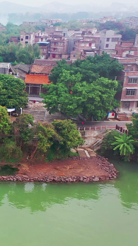 2024年梧州泗洲岛桃花开了吗 - 抖音