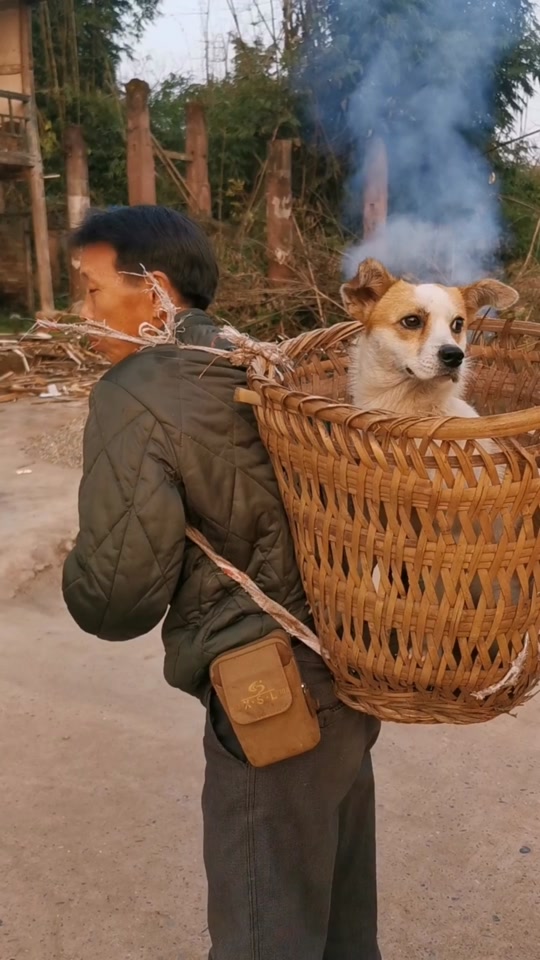 老疯杨砖头现在怎么样了 - 抖音