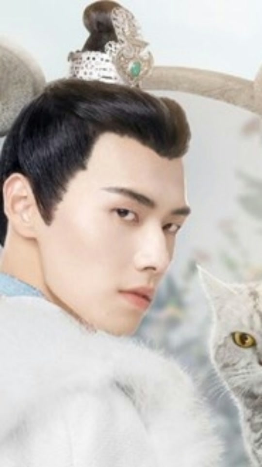肖凯中老猫老k_肖凯中为什么叫老猫