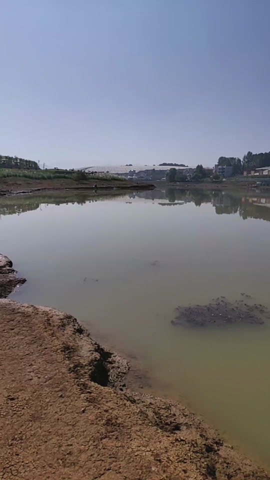 剑川桃源水库具体搬迁哪几个村 - 抖音