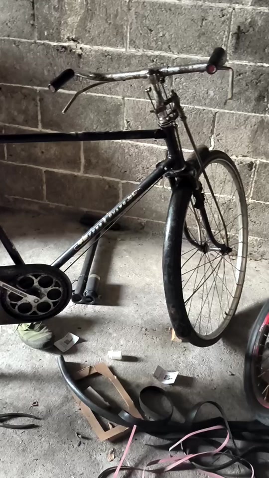 夏天的向日葵:28杠凤凰牌自行车!农村人说话就是搞笑.