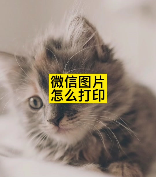 电脑微信打印多张如何一次打印 - 抖音