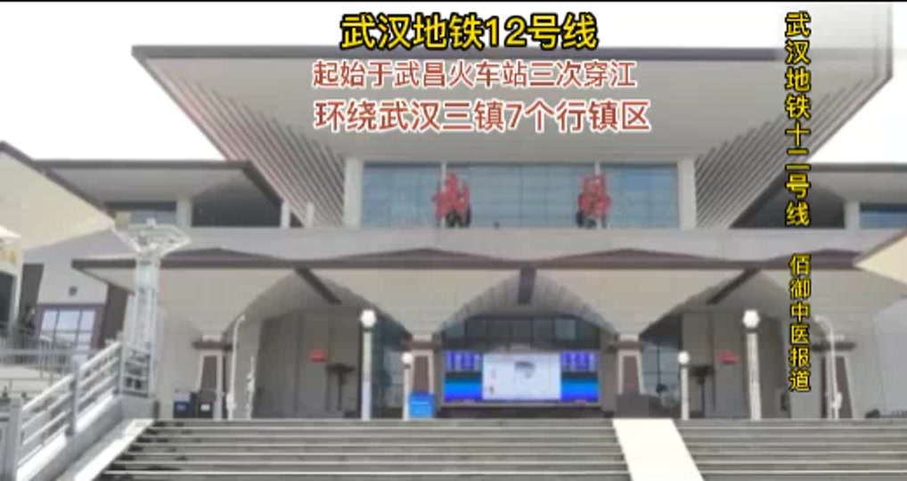 十二号地铁线路图武汉_十二号线地铁线路图武汉_十二号地铁站线路图