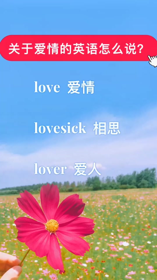 恋爱脑的英语恋爱秘籍