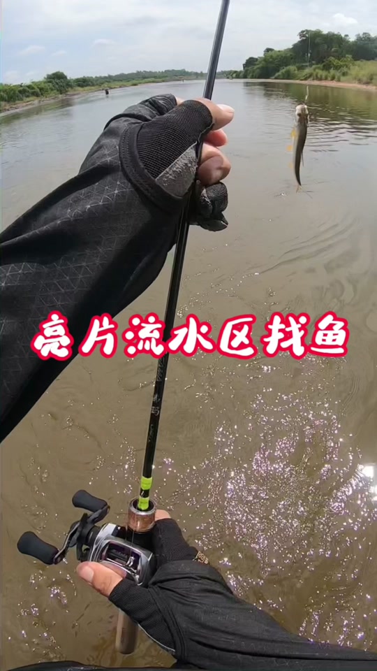 平振亮片泳姿测评